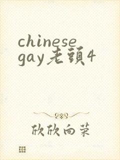 chinesegay老头4