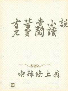 方若棠小说全文免费阅读