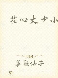 花心大少小说