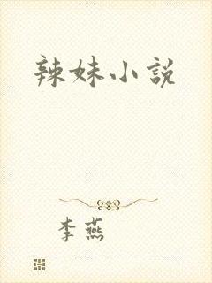 辣妹小说