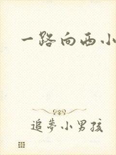 一路向西小说