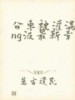 公车被灌满jing液最新章节