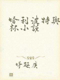 哈利波特与火焰杯小说