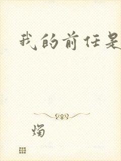 我的前任是极品