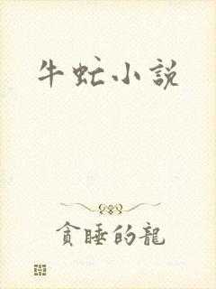 牛虻小说