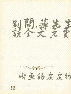 别闹,薄先生小说全文免费阅读