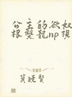 公主的欲奴h四根双龙np视频