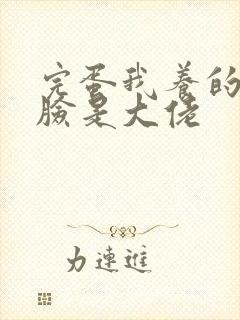 完蛋我养的小白脸是大佬