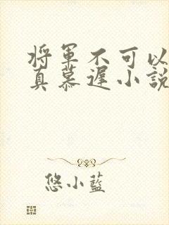 将军不可以魏云真慕迟小说笔趣阁