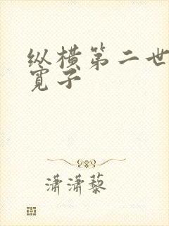 纵横第二世界 宽子