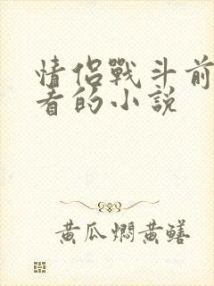 情侣战斗前适合看的小说