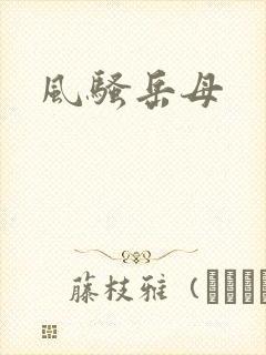 风骚岳母