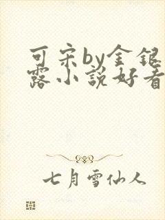 可宋by金银花露小说好看吗