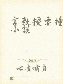 言教授要撞坏了小说