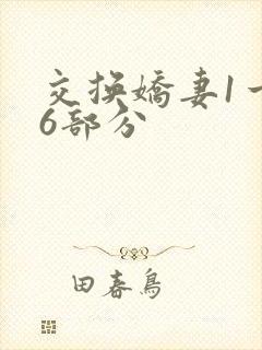 交换娇妻1一36部分