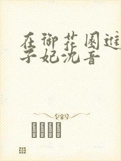 在御花园进入太子妃沈音