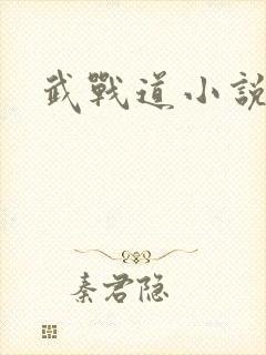 武战道小说