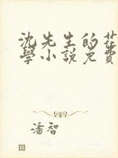 沈先生的花式教学小说免费