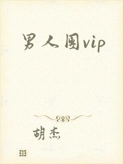 男人团vip