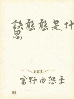 铁憨憨是什么意思