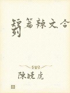 短篇辣文合集系列