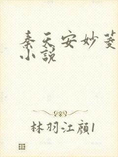 秦天安妙菱修仙小说