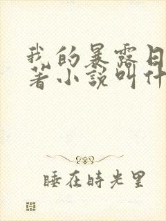 我的暴露日记原著小说叫什么