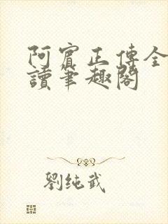 阿宾正传全文阅读笔趣阁