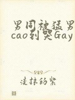 男同被猛男房东cao到哭Gay