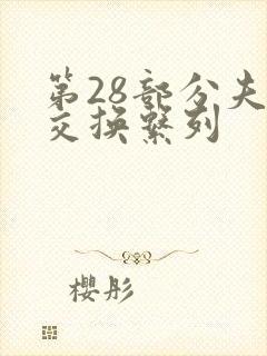 第28部分夫妇交换系列