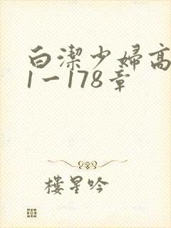 白洁少妇高义第1一178章