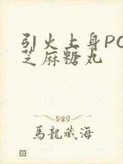 引火上身POP芝麻糖丸