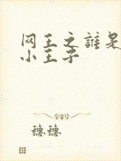 网王之谁是我的小王子