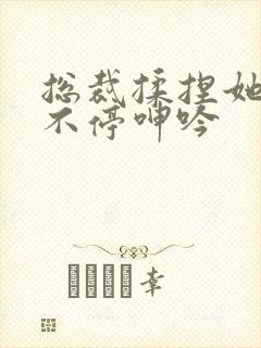 总裁揉捏她两乳不停呻吟