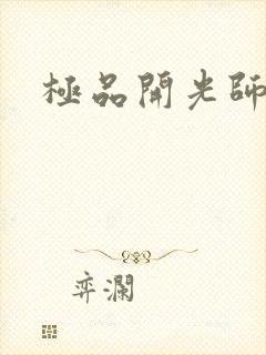 极品开光师