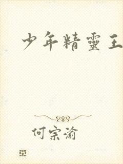 少年精灵王