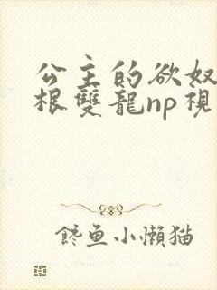 公主的欲奴h四根双龙np视频