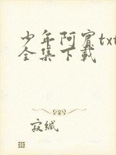 少年阿宾txt全集下载