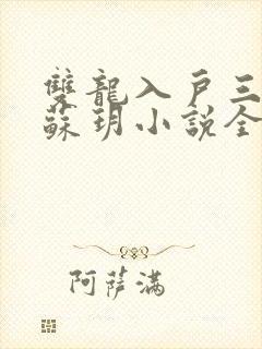 双龙入户三人行苏玥小说全文阅读