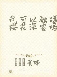 我可以触碰你的樱花深处吗