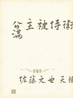 公主被侍卫填的满