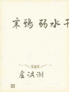 寒鸦 弱水千流