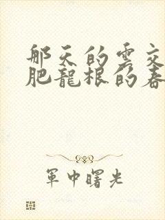 那天的云交雨合肥龙根的春天