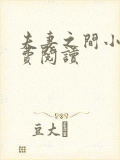 夫妻之间小说免费阅读