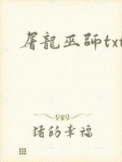 屠龙巫师txt