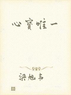 心宝唯一