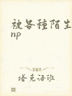 被各种陌生人 np