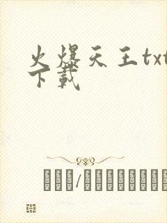 火爆天王txt下载