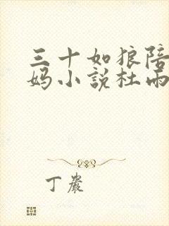 三十如狼陪读妈妈小说杜雨馨