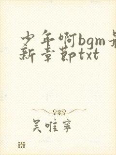 少年啊bgm最新章节txt